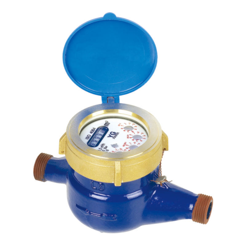 Rotary Vane Wheel Liquid-Sealed Water Meter LXSY-15E~50E
