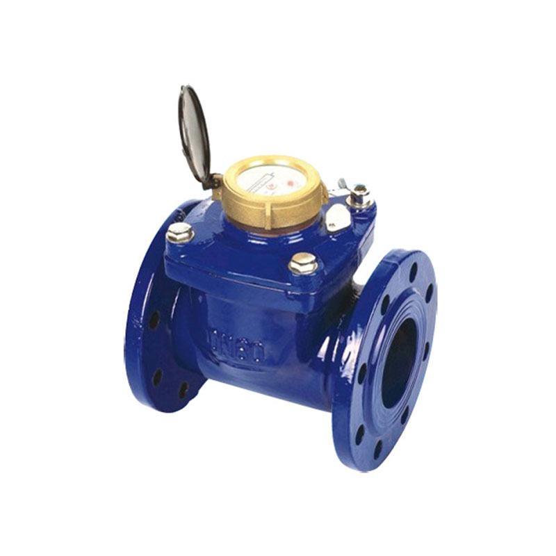 Woltman Water Meter LXLC-50-200