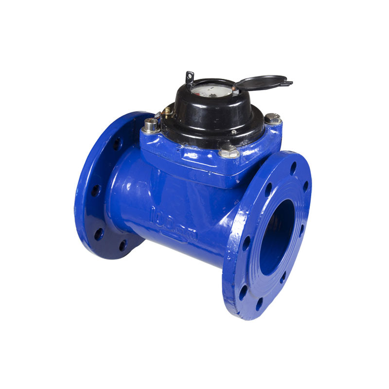 Woltman Water Meters Type LXLC-50--200