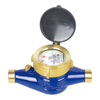 Rotary Vane Wheel Dry Dial Cold Water Meter LXSG-15E2~50E2