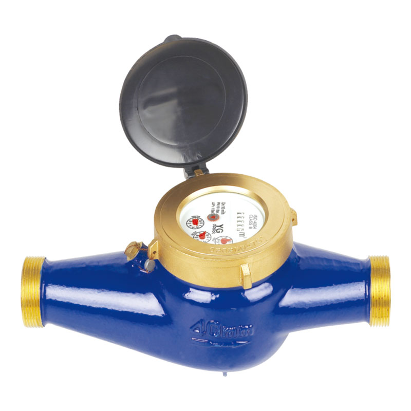 Rotary Vane Wheel Dry Dial Cold Water Meter LXSG-15E2~50E2
