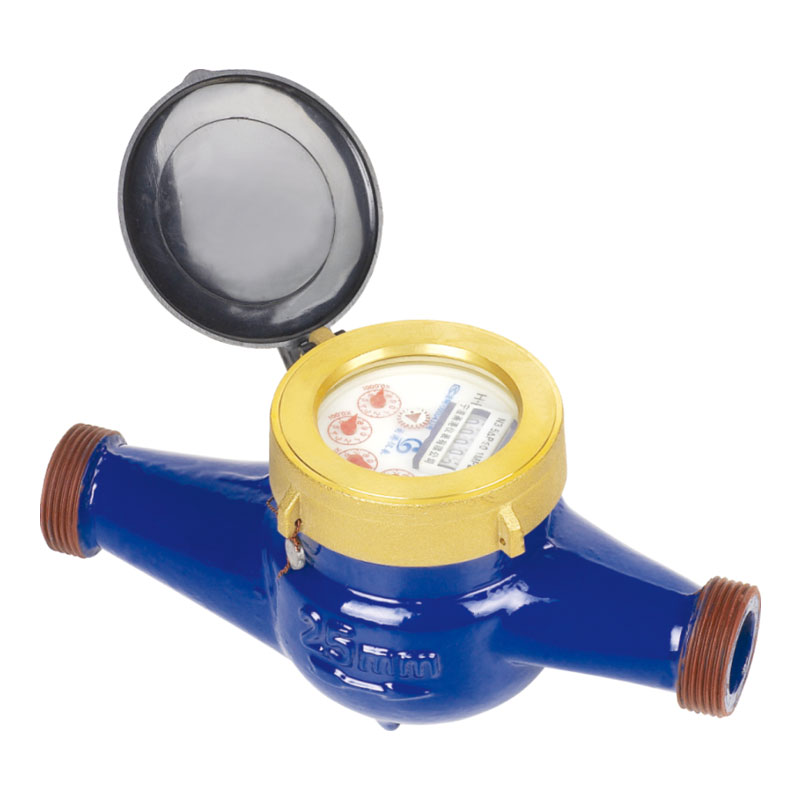 Rotary Vane Wheel Dry Dial Cold Water Meter LXSG-15E~50E