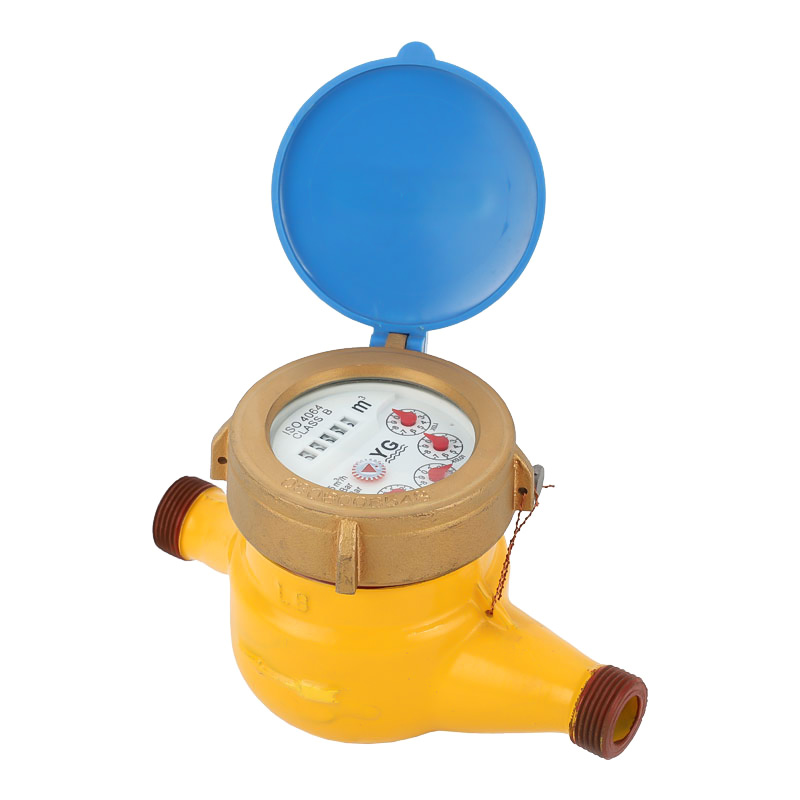Rotary Vane Wheel Liquid-Sealed Water Meter LXSY-15E~50E
