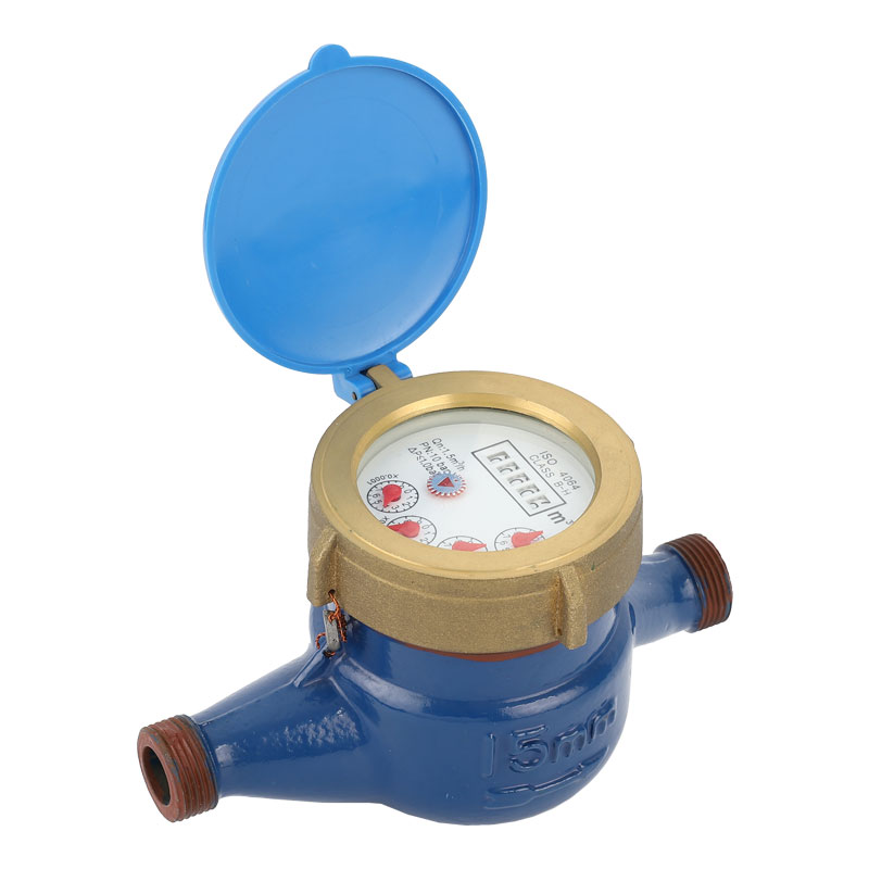 Rotary Vane Wheel Dry Dial Cold Water Meter LXSG-15E~50E